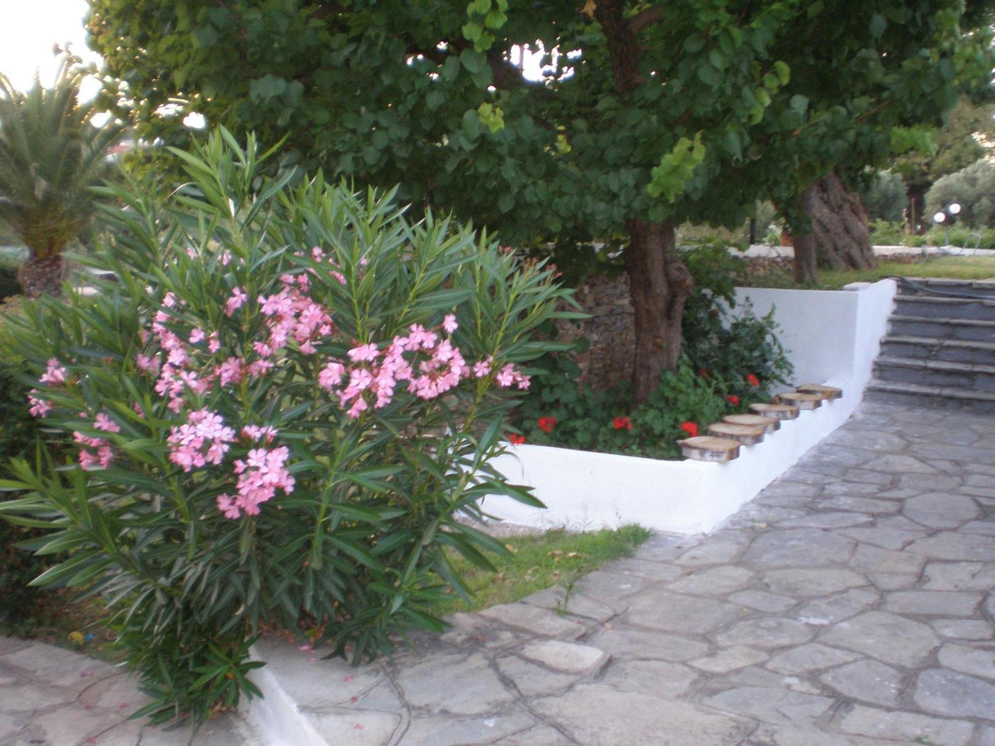 ホテル Porto Matina メタモルフォシ エクステリア 写真